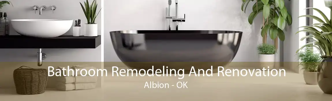 Bathroom Remodeling And Renovation Albion - OK