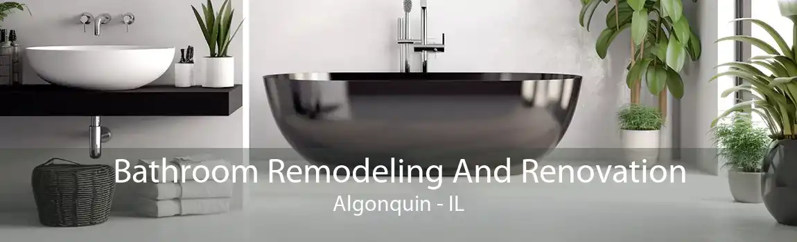 Bathroom Remodeling And Renovation Algonquin - IL