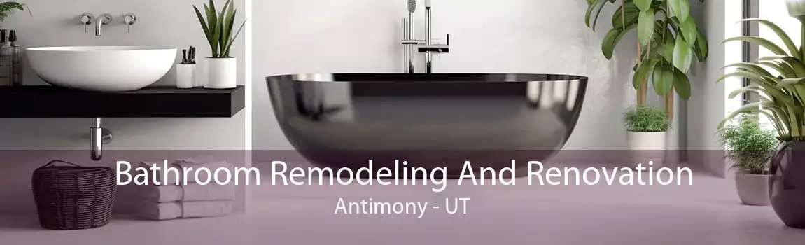  Bathroom Remodeling And Renovation Antimony - UT