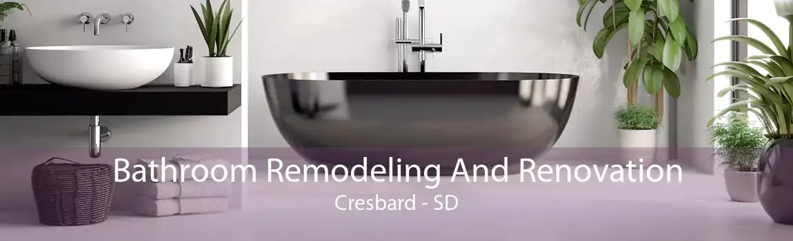Bathroom Remodeling And Renovation Cresbard - SD