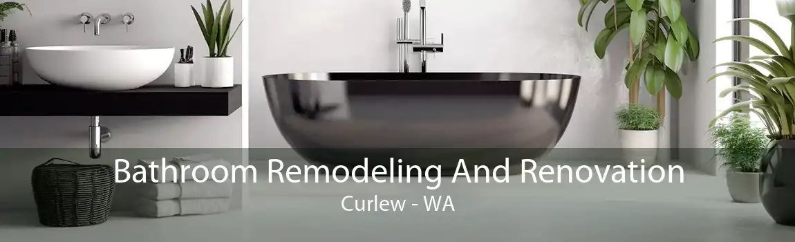 Bathroom Remodeling And Renovation Curlew - WA