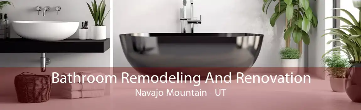 Bathroom Remodeling And Renovation Navajo Mountain - UT