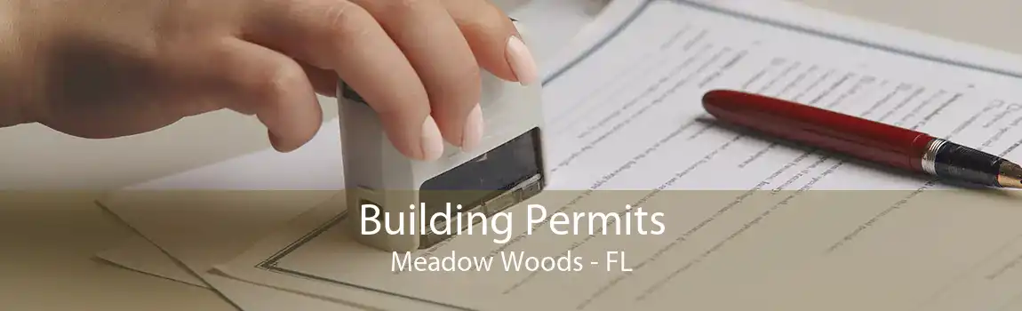 Building Permits Meadow Woods - FL