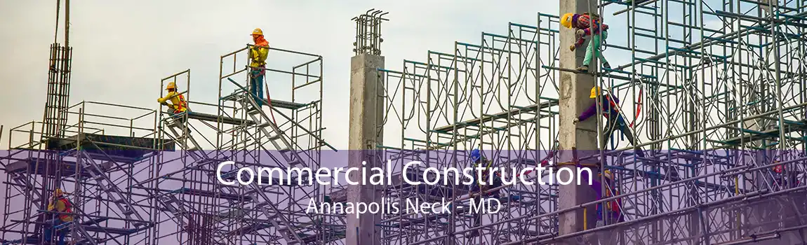 Commercial Construction Annapolis Neck - MD