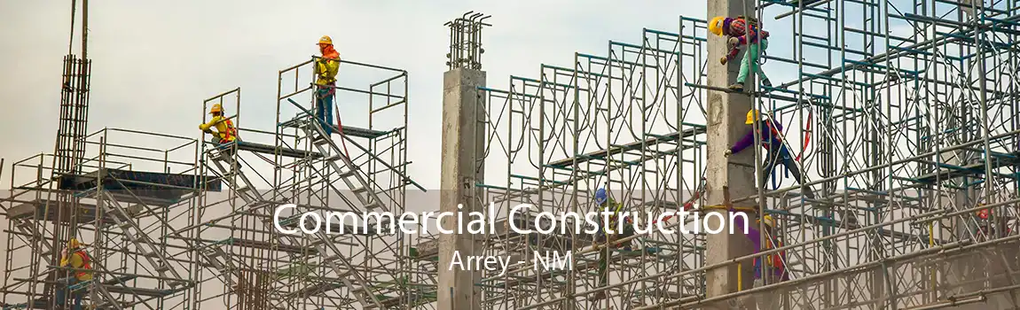 Commercial Construction Arrey - NM