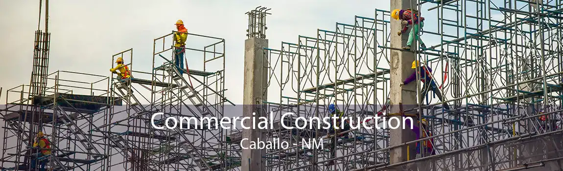 Commercial Construction Caballo - NM