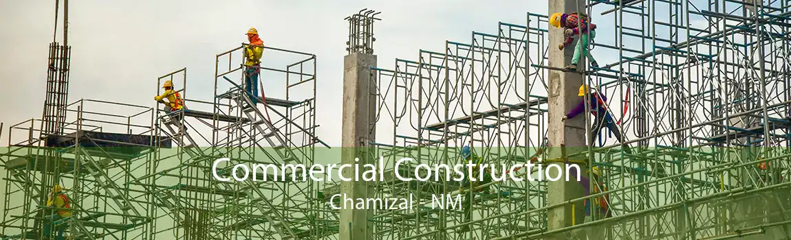 Commercial Construction Chamizal - NM