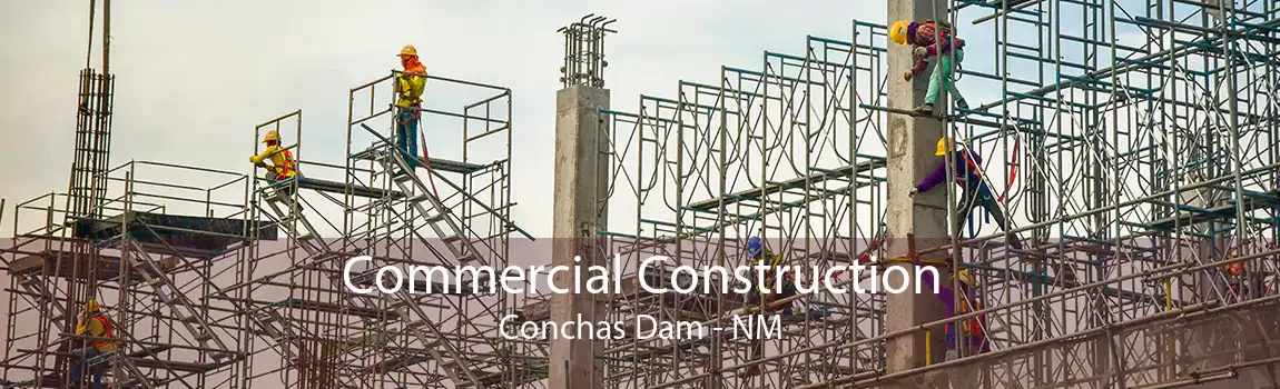Commercial Construction Conchas Dam - NM