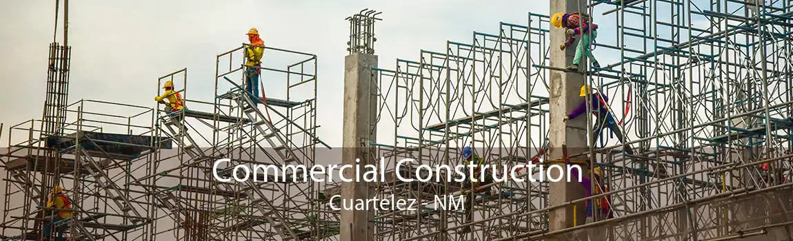 Commercial Construction Cuartelez - NM