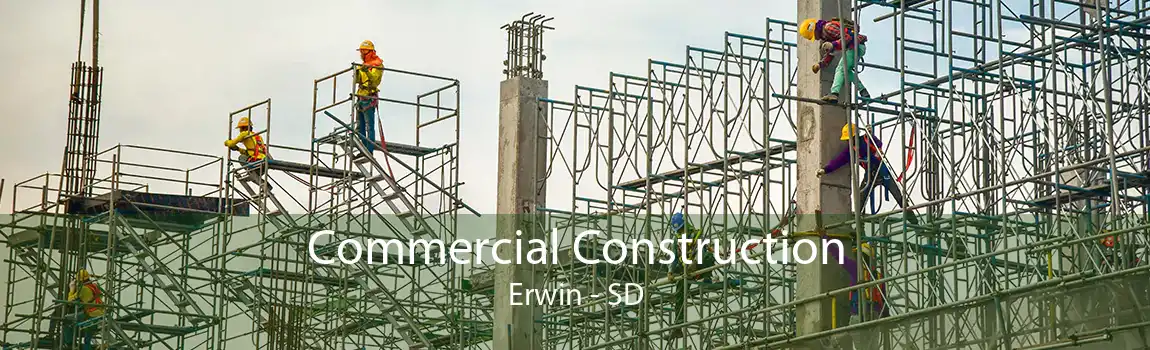Commercial Construction Erwin - SD