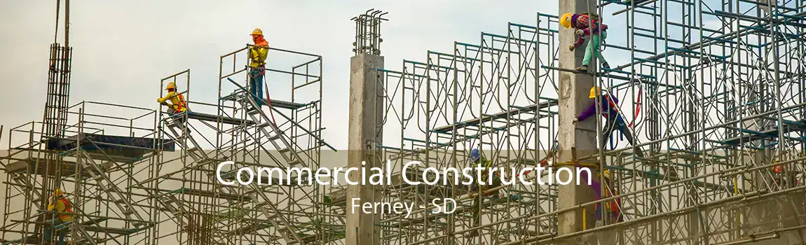 Commercial Construction Ferney - SD