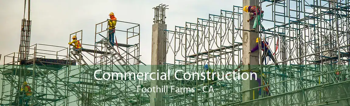 Commercial Construction Foothill Farms - CA