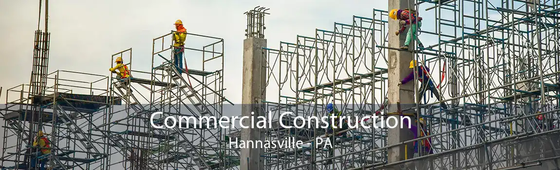 Commercial Construction Hannasville - PA