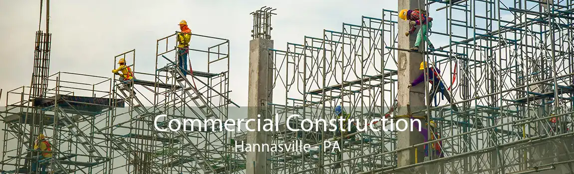 Commercial Construction Hannasville - PA