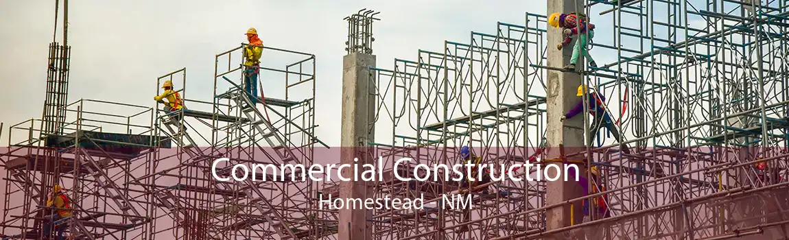 Commercial Construction Homestead - NM
