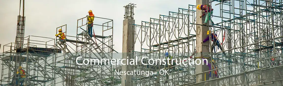 Commercial Construction Nescatunga - OK