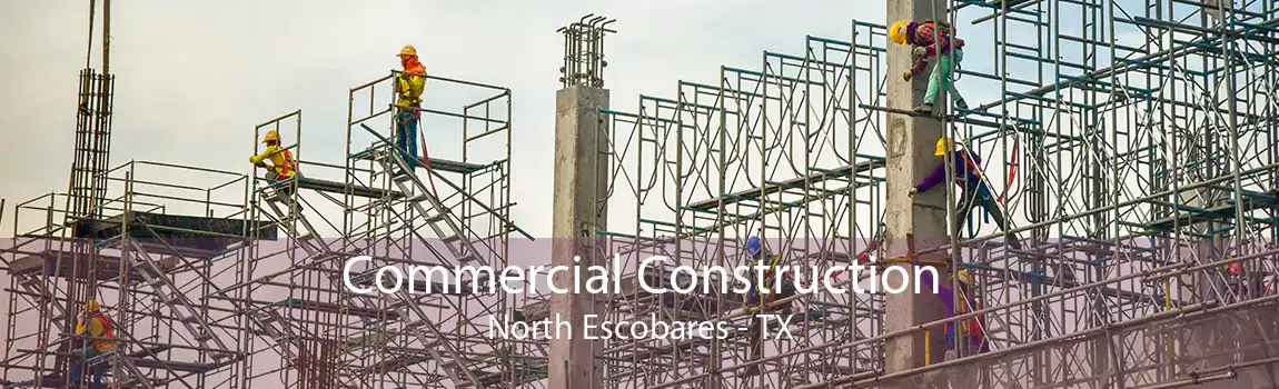 Commercial Construction North Escobares - TX