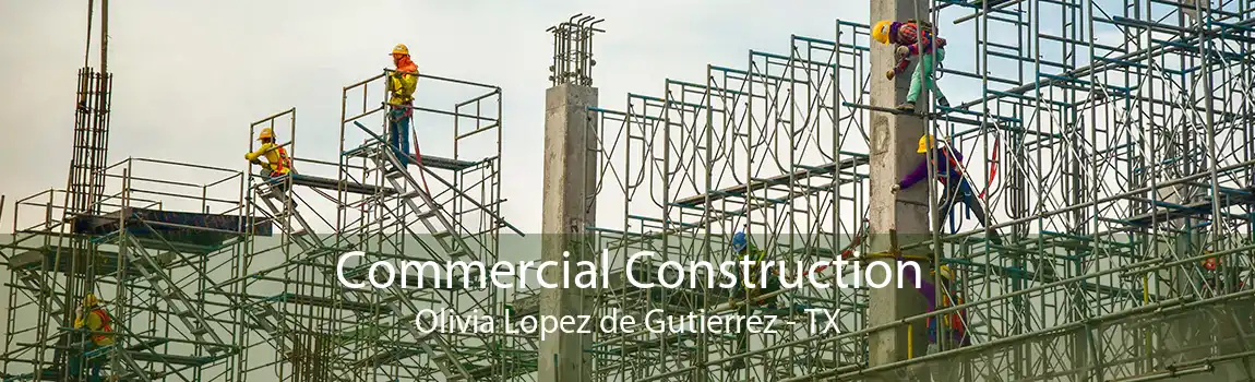 Commercial Construction Olivia Lopez de Gutierrez - TX