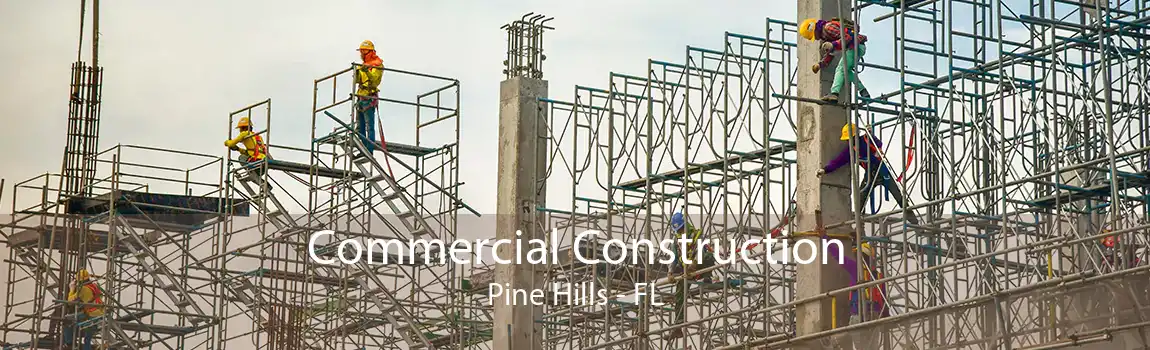 Commercial Construction Pine Hills - FL