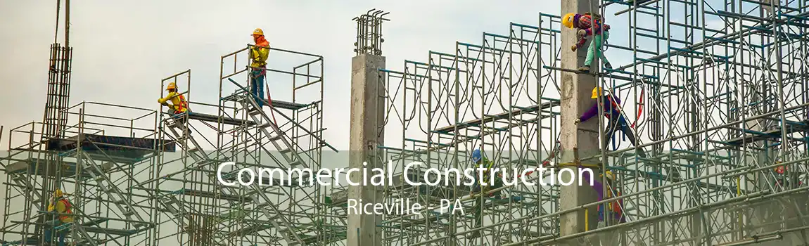 Commercial Construction Riceville - PA