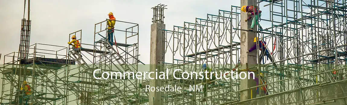 Commercial Construction Rosedale - NM