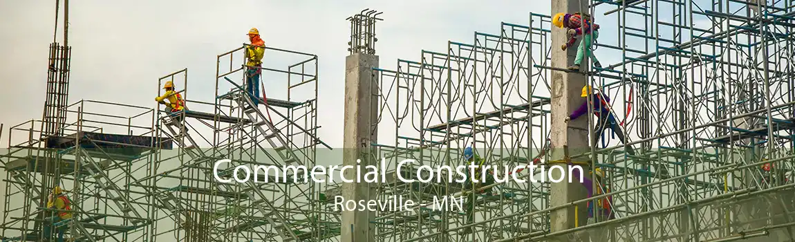 Commercial Construction Roseville - MN