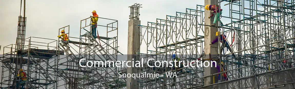 Commercial Construction Snoqualmie - WA