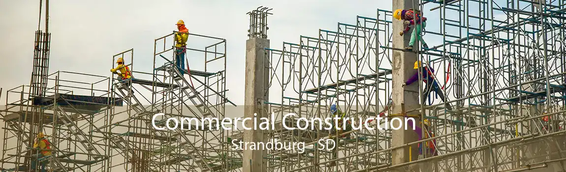 Commercial Construction Strandburg - SD