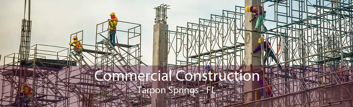 Commercial Construction Tarpon Springs - FL