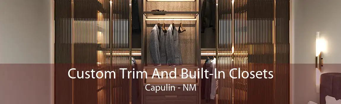 Custom Trim And Built-In Closets Capulin - NM
