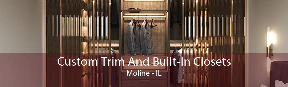 Custom Trim And Built-In Closets Moline - IL