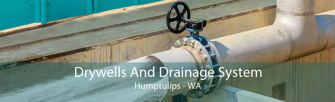 Drywells And Drainage System Humptulips - WA