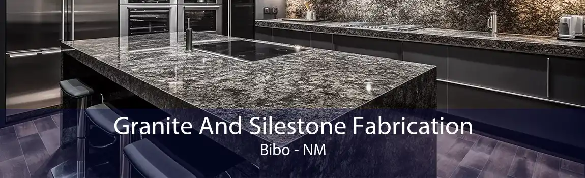 Granite And Silestone Fabrication Bibo - NM