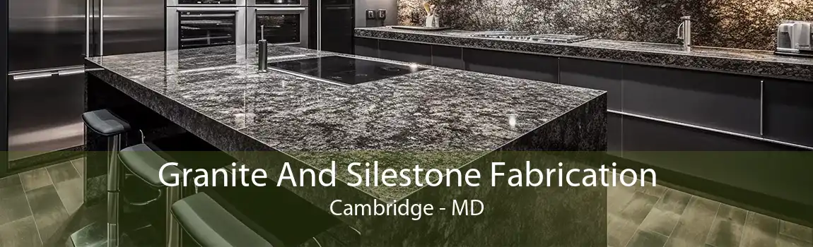 Granite And Silestone Fabrication Cambridge - MD