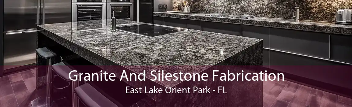 Granite And Silestone Fabrication East Lake Orient Park - FL