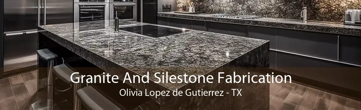 Granite And Silestone Fabrication Olivia Lopez de Gutierrez - TX