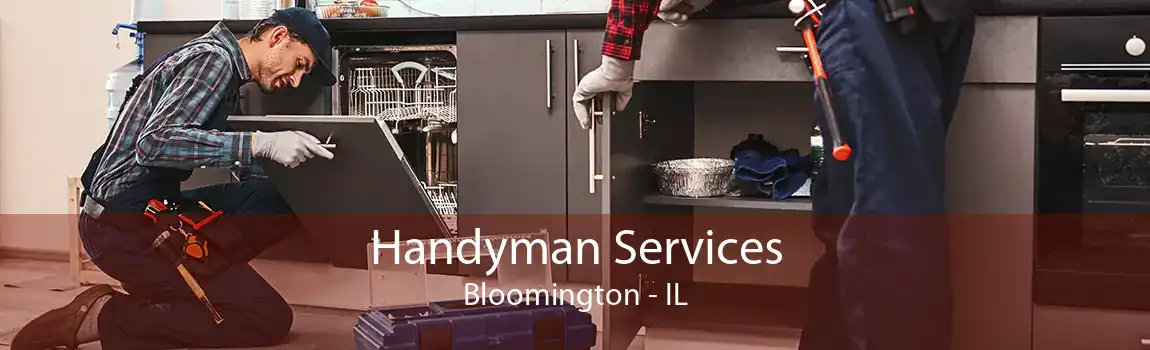 Handyman Services Bloomington - IL