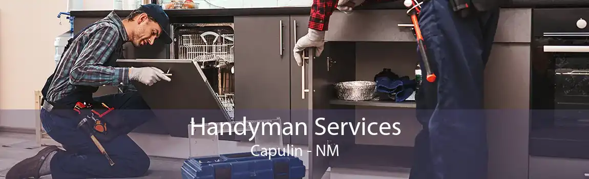 Handyman Services Capulin - NM