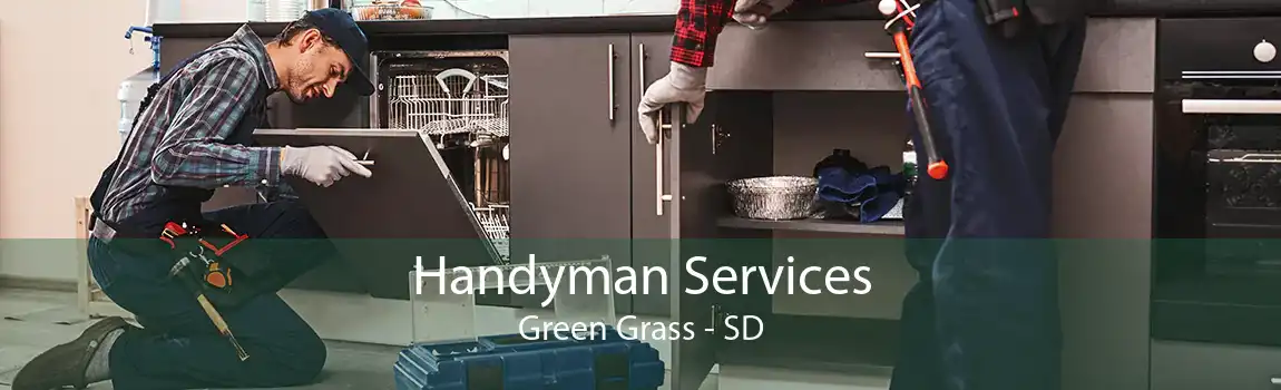 Handyman Services Green Grass - SD
