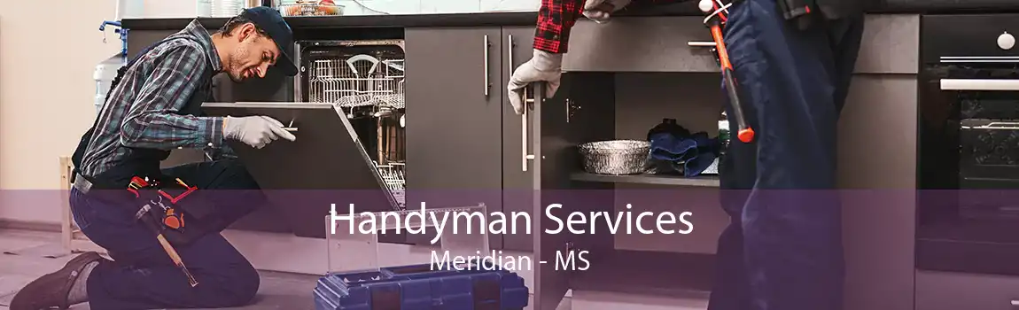 Handyman Services Meridian - MS