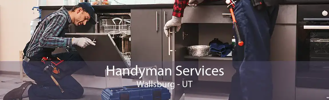 Handyman Services Wallsburg - UT