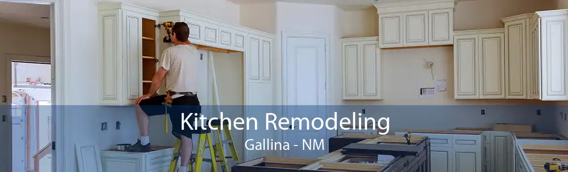 Kitchen Remodeling Gallina - NM