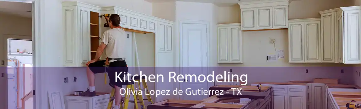 Kitchen Remodeling Olivia Lopez de Gutierrez - TX