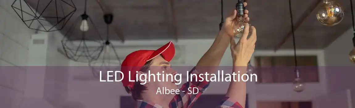LED Lighting Installation Albee - SD