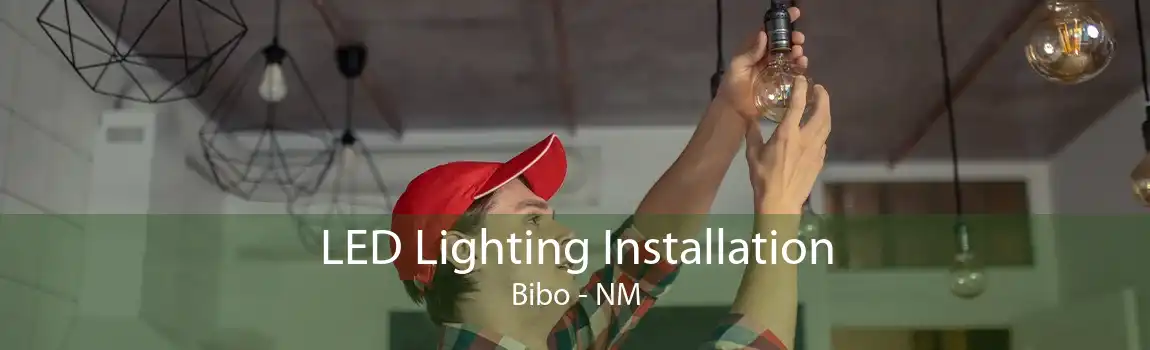 LED Lighting Installation Bibo - NM