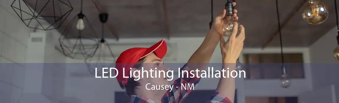 LED Lighting Installation Causey - NM