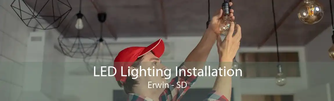 LED Lighting Installation Erwin - SD