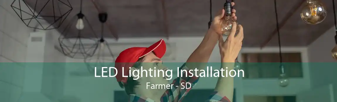 LED Lighting Installation Farmer - SD