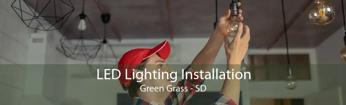 LED Lighting Installation Green Grass - SD