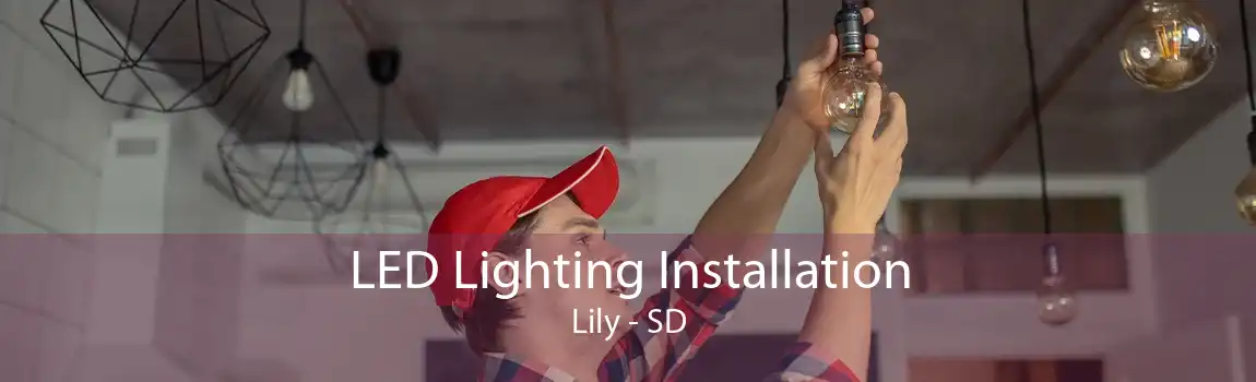LED Lighting Installation Lily - SD